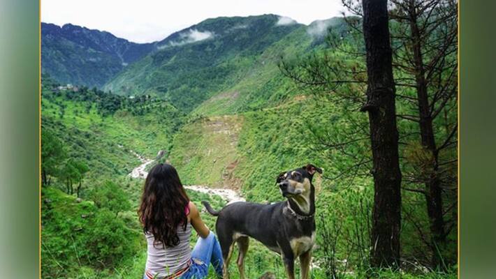 According to Study Indian travel to show off instead of an really interesting According to Study Indian travel to show off instead of an really interesting