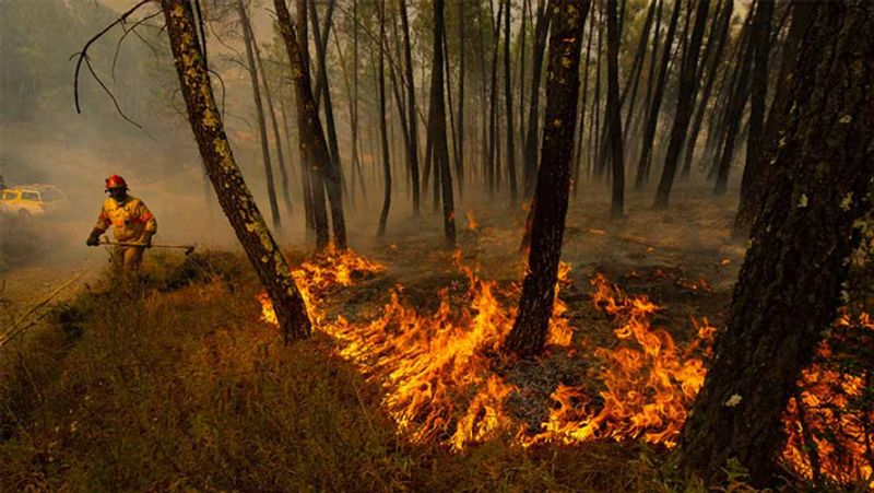 গত বছরেই অ্যামাজনের ব্রাজিলিয়ান অংশে প্রায় ১০ হাজার বর্গ কিলোমিটারের বেশি বনভূমি ধ্বংস করা হয়েছে। যা নিয়ে উদ্বেগ আরও বাড়ছে।