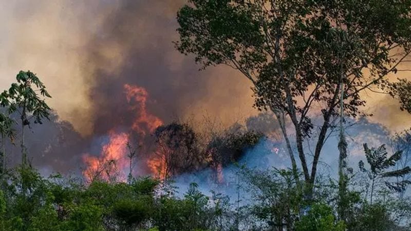 বিজ্ঞানীদের এই গবেষণার পর থেকেই চিন্তা যেন আরও কয়েকগুণ বেশি বেড়ে গেছে।