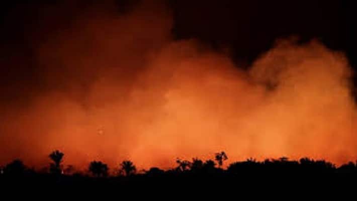 amazon rain forest will be destroying with in 15 years - UNA warning amazon rain forest will be destroying with in 15 years - UNA warning