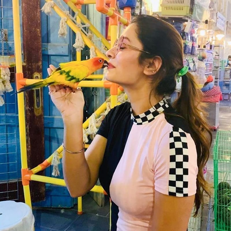payal rajput latest gallery