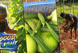 The Good Fight: Bengalureans grow their own vegetables thanks to Swayam Krishi