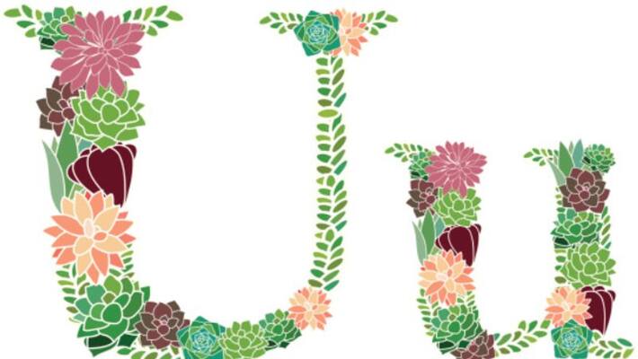 First Letter Of Your 'U' Name Say About Your Personality First Letter Of Your 'U' Name Say About Your Personality