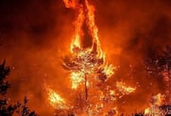 Amazon forest fire Fresh blazes rage G7 Nations pledge support Brazil President Jair Bolsonaro turns it down