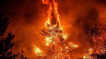 Amazon forest fire Fresh blazes rage G7 Nations pledge support Brazil President Jair Bolsonaro turns it down