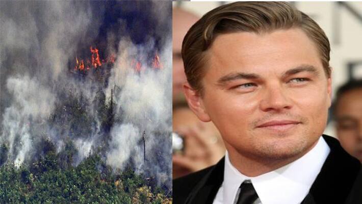 Leonardo DiCaprios conform to donate 3 million dollar for Australia Leonardo DiCaprios conform to donate 3 million dollar for Australia