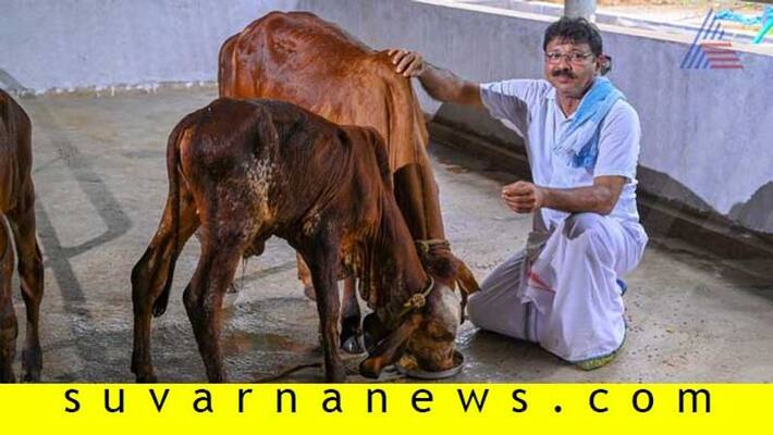 Karkala based farmer Ramakrishna gains profit by animal husbandry Karkala based farmer Ramakrishna gains profit by animal husbandry