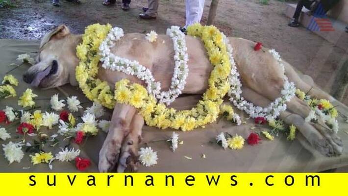 Police dog Ramya died in Shivamogga Police dog Ramya died in Shivamogga