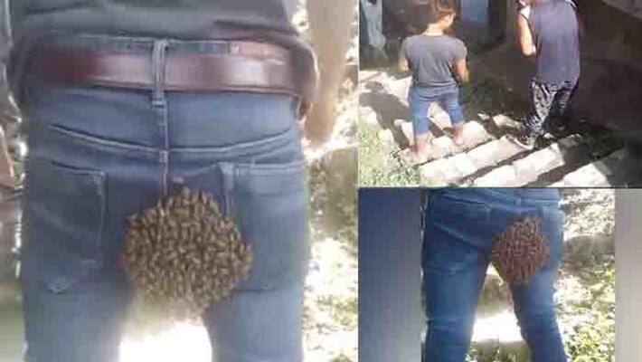 bees make colony on back side of youth's jeans in nagaland bees make colony on back side of youth's jeans in nagaland