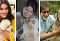 Be it Amitabh or Anushka, these stars love their belly dogs more than they know
