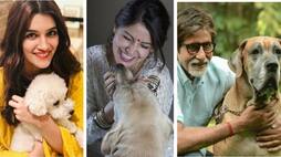 Be it Amitabh or Anushka, these stars love their belly dogs more than they know