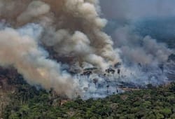 Amazon rainforest fire: Lingering smoke causes respiratory illnesses among Brazilians