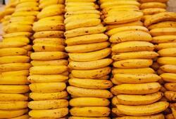 Here's why bananas are banned at this Lucknow railway station
