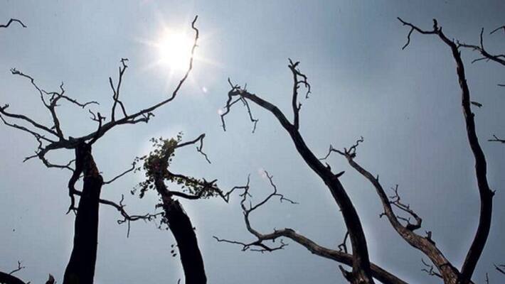 Dry weather continues in Mangalore Dry weather continues in Mangalore