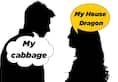 How do you address your loved one My cabbage or house dragon