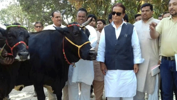 Samajwadi Party MP Azam Khan Booked for Stealing Buffalo, Rs 25,000 Cash Samajwadi Party MP Azam Khan Booked for Stealing Buffalo, Rs 25,000 Cash