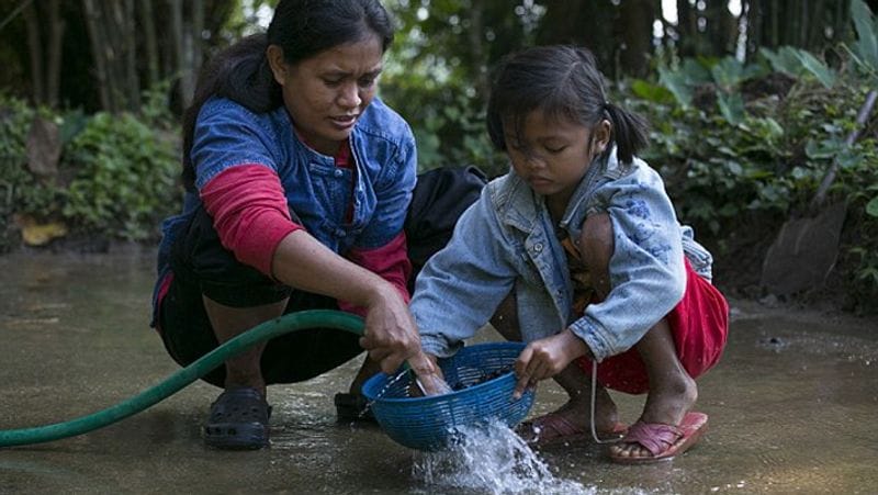Most expensive coffee picked from elephant dung served in 5 star restaurant
