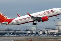 Air India to add Navratra meals on domestic flights