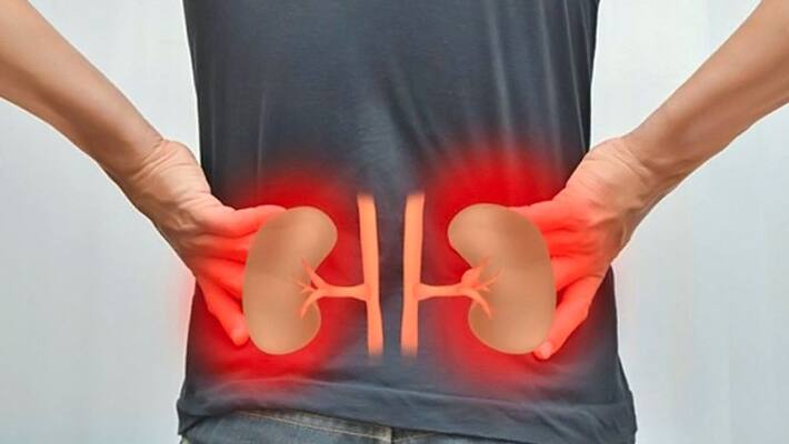 Know about the cause and early symptoms of the kidney stones Know about the cause and early symptoms of the kidney stones