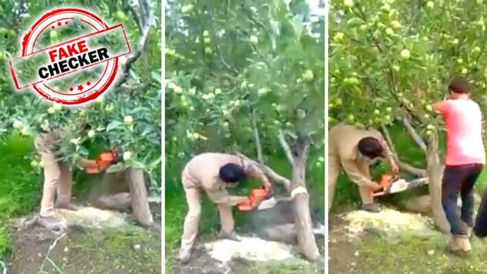Fake Checker,viral video claim Indian government is destroying apple gardens in Kashmir Fake Checker,viral video claim Indian government is destroying apple gardens in Kashmir