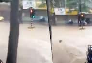 Viral video: Traffic stranded but signal floats due to heavy rains in Mumbai