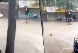 Viral video: Traffic stranded but signal floats due to heavy rains in Mumbai