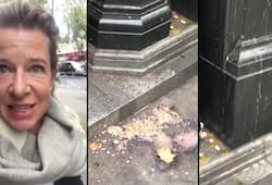 Katie Hopkins slams Pakistan-origin London mayor over attack on Indian embassy