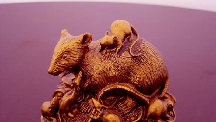 Keep Feng Sui's mongoose at home or office, you will get success in every work Keep Feng Sui's mongoose at home or office, you will get success in every work