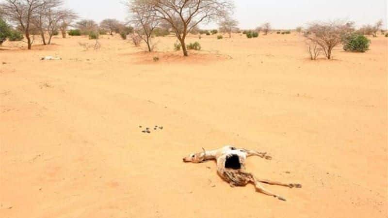 Sahel, North Africa: This is the region bordering the Sahara Desert in Africa. Between 1972 and 1984, more than 100,000 people died in this area because of drought.