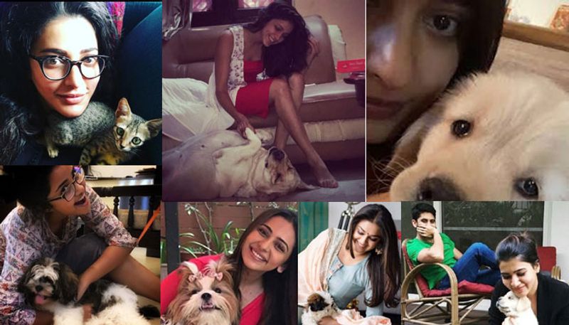 Tollywood Heroines With Their Cute dogs