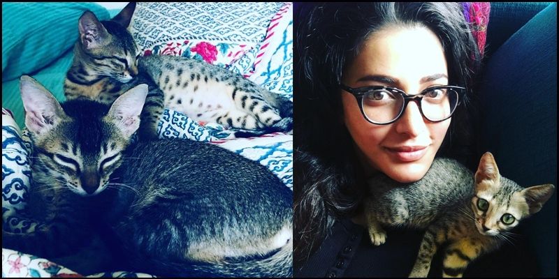 Tollywood Heroines With Their Cute dogs