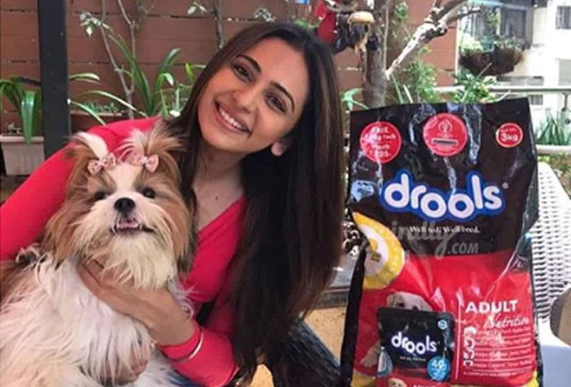 Tollywood Heroines With Their Cute dogs