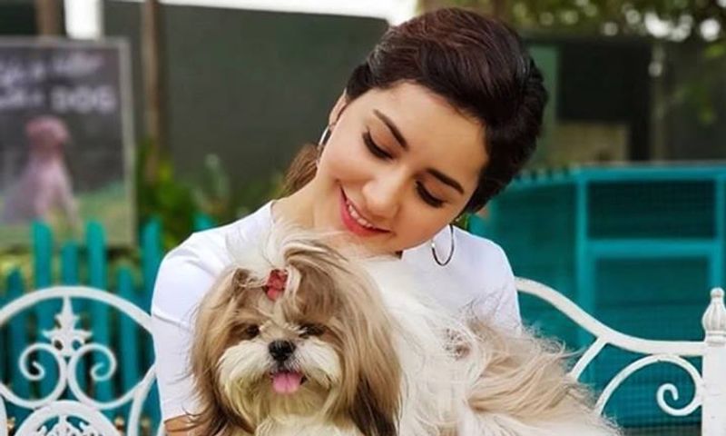 Tollywood Heroines With Their Cute dogs
