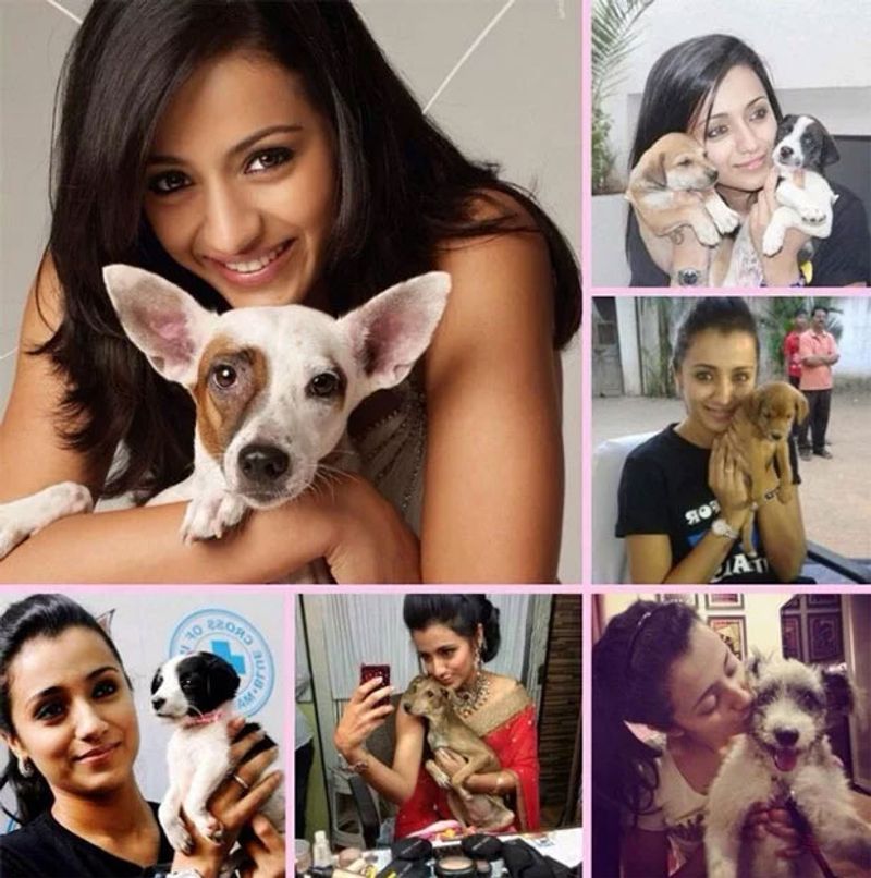 Tollywood Heroines With Their Cute dogs