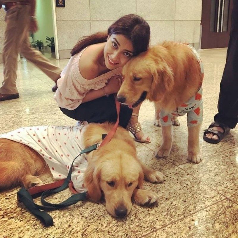 Tollywood Heroines With Their Cute dogs