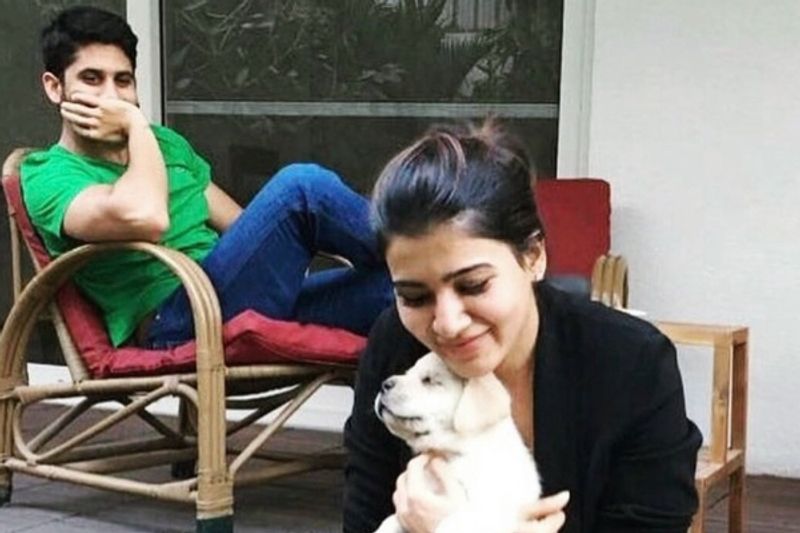 Tollywood Heroines With Their Cute dogs