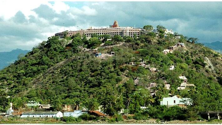 palani murugan temple dharisanam will be canceled on coming 23 to 27 says temple management board palani murugan temple dharisanam will be canceled on coming 23 to 27 says temple management board