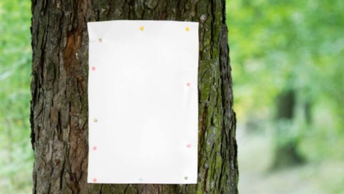 Remove poster on tress and face fine of Rupees twenty five thousand Remove poster on tress and face fine of Rupees twenty five thousand