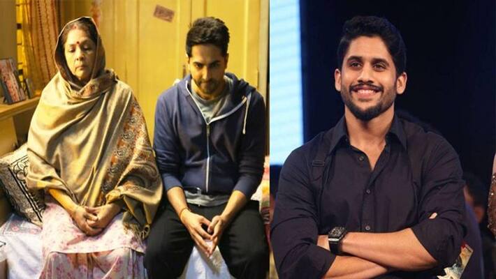 Naga Chaitanya in talks for bollywood hit movie remake Naga Chaitanya in talks for bollywood hit movie remake