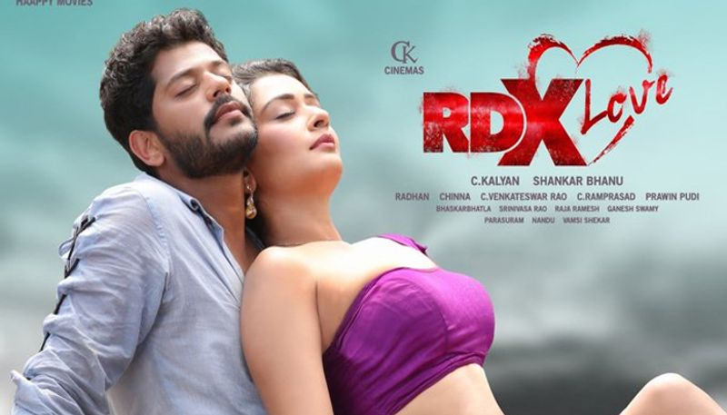 ಆರಂಭದಲ್ಲಿ ಪಂಜಾಬಿ ಸಿನಿಮಾಗಳಲ್ಲಿ ಕಾಣಿಸಿಕೊಂಡರು.