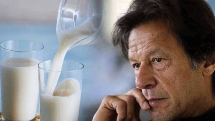 Pakistan Rs 140 per litre, milk was costlier than petrol