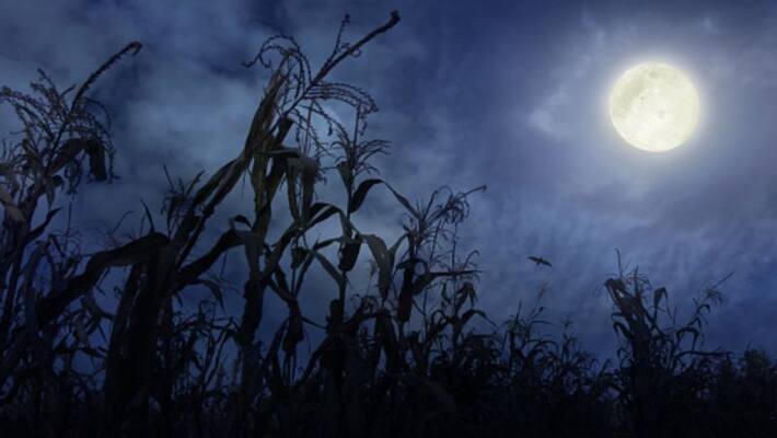 Full harvest moon visible at friday the 13th Full harvest moon visible at friday the 13th