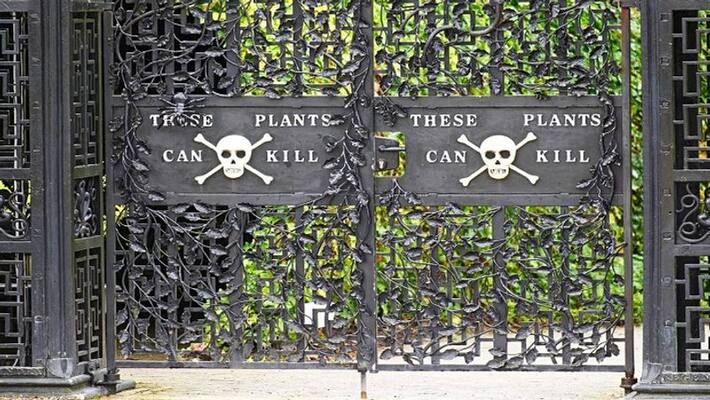 the world's most dangerous park, plants kill if you touch the world's most dangerous park, plants kill if you touch