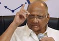 Have never done anything wrong: Sharad Pawar reacts to Amit Shah's statement