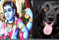 Know how Lord Shiva changed the law of enlightenment for a small dog and included it in his ganas