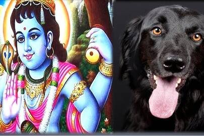 Know how Lord Shiva changed the law of enlightenment for a small dog and included it in his ganas
