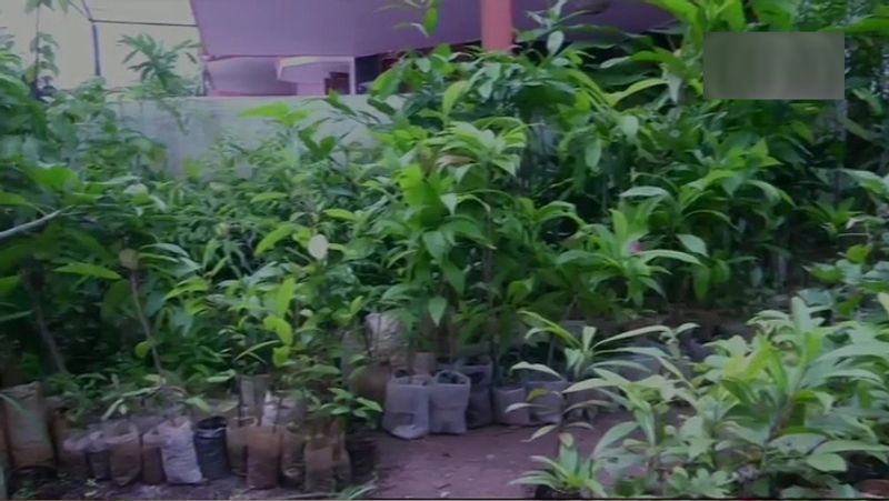 अपने घर में वेंकटगिरी ने लगभग 500 हर्बल पौधे लगाए हैं। और इन्हें संरक्षित रखने के लिए हर संभव कोशिश में पूरी लगन से लगे हुए हैं।