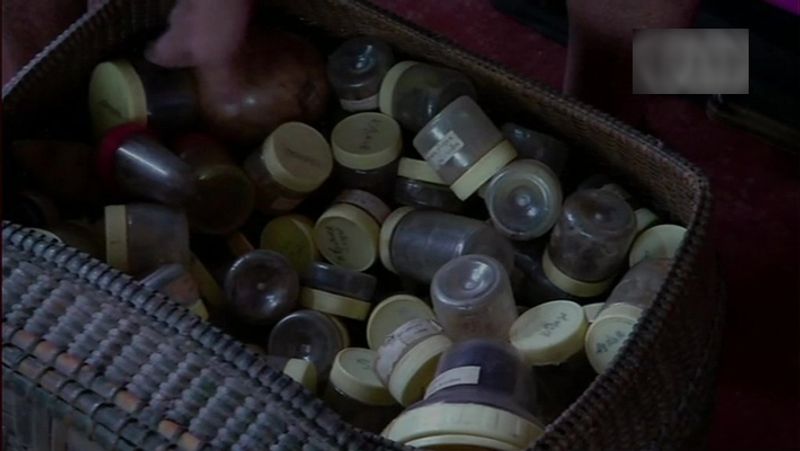 पर्यावरणविद्ने ने हर्बल पौधों के महत्व बताने के लिए कर्नाटक की यात्रा भी की है। सात ही विलुप्त मानी जाने वाली 1500 से अधिक किस्मों के बीज भी एकत्र किए हैं।
