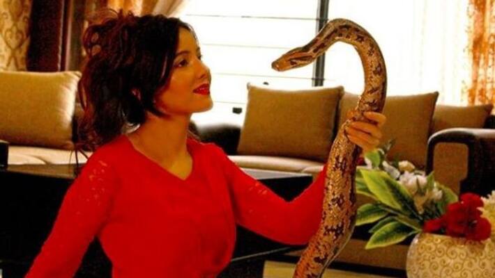 Die in hell, Pakistani pop singer threatens Prime Minister Modi with python, faces jail Die in hell, Pakistani pop singer threatens Prime Minister Modi with python, faces jail