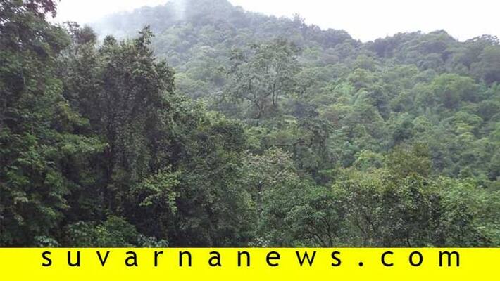 Govt report says Karnataka increased most forest cover Shivamogga witness heavy deforestation Govt report says Karnataka increased most forest cover Shivamogga witness heavy deforestation